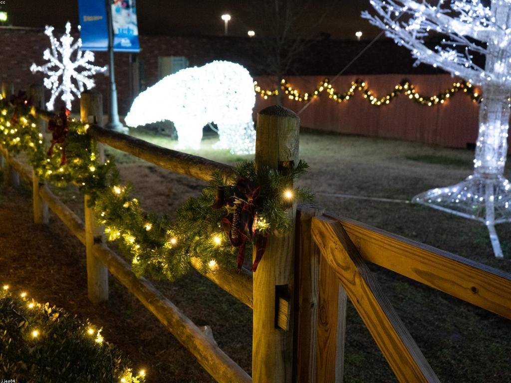 ព្រឹត្តិការណ៍ពិសេសក្នុងជីវិត